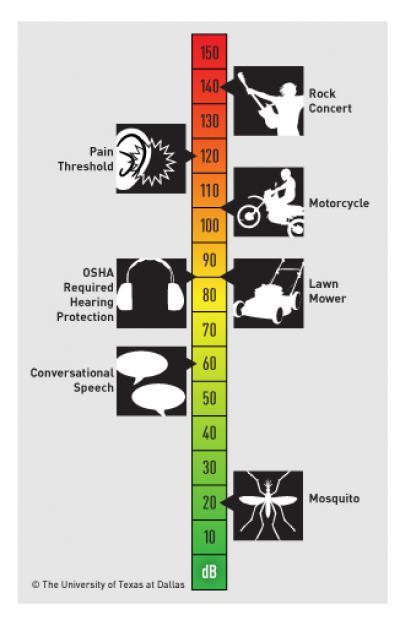 UT Dallas study reveals effect of loud noises on brain