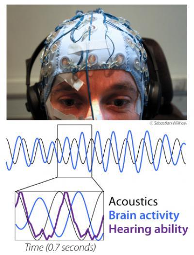 Brain Waves Make Waves | Science Codex