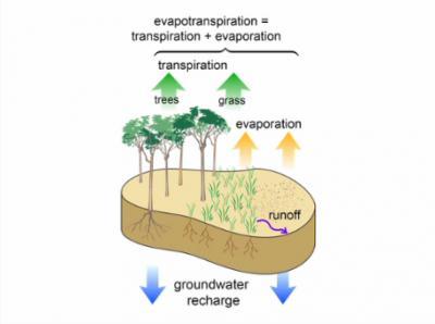 Where water is limited, researchers determine how much water is enough ...